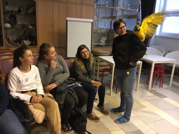 Veřejně správní akademie - vyšší odborná škola, s.r.o.